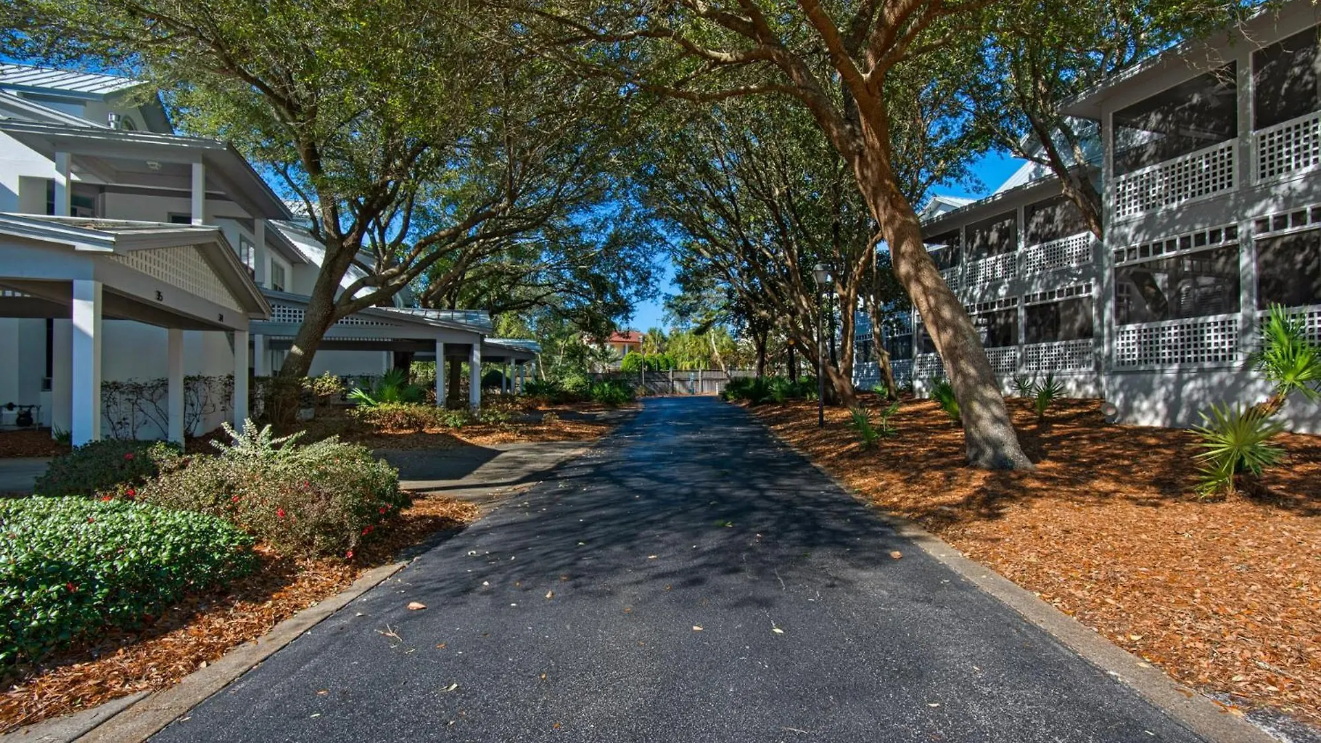 Hidden Dunes 49 By Newman-dailey Apartment