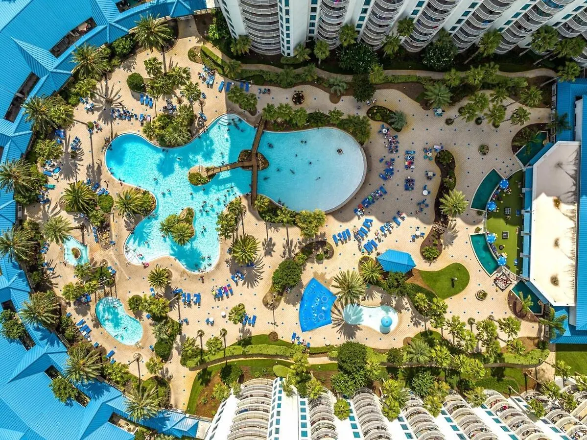 Entire Palms Of Paradise