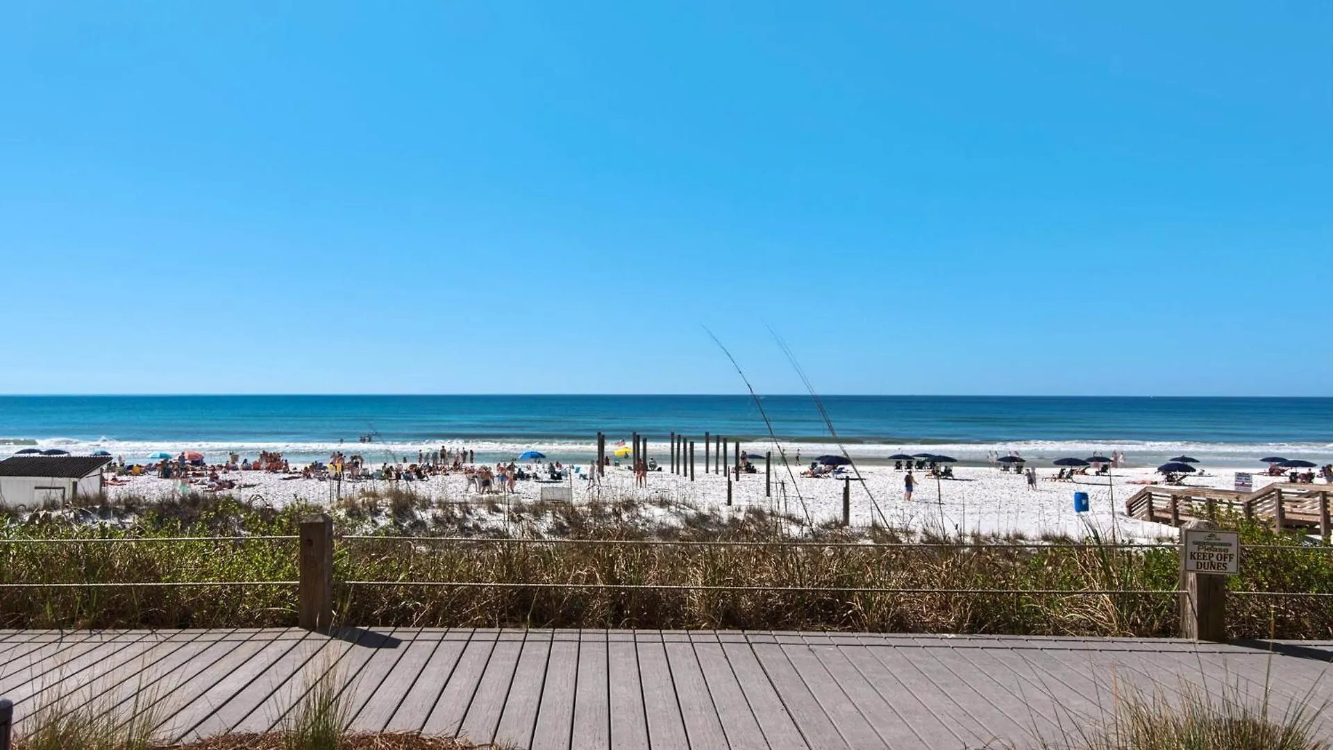 Crystal Sands 103a By Newman-dailey