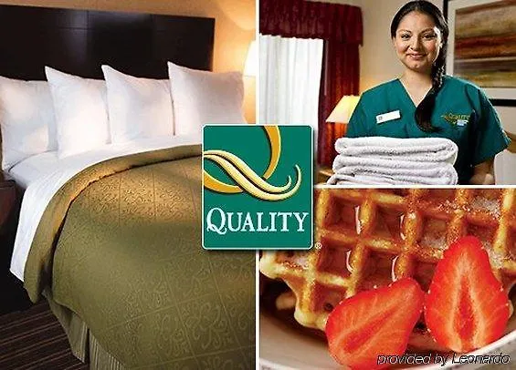 Hotel Quality & Miramar 2*