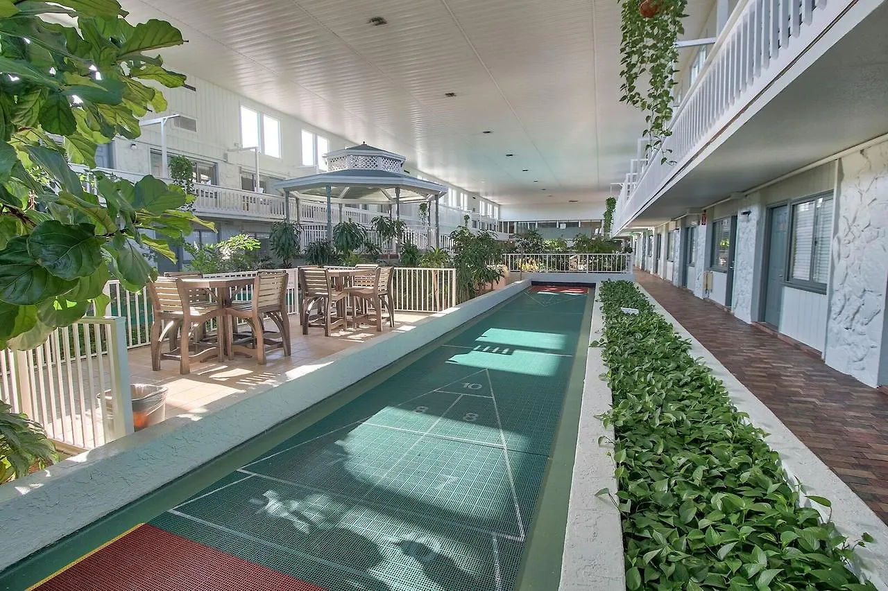 Club Hotel 3*