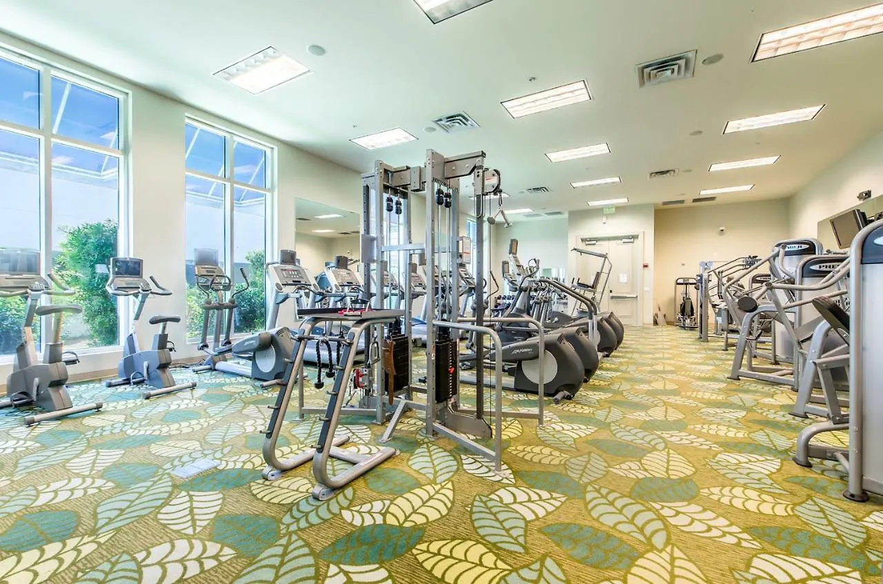 Aparthotel Palms 1813 By Realjoy Vacations *