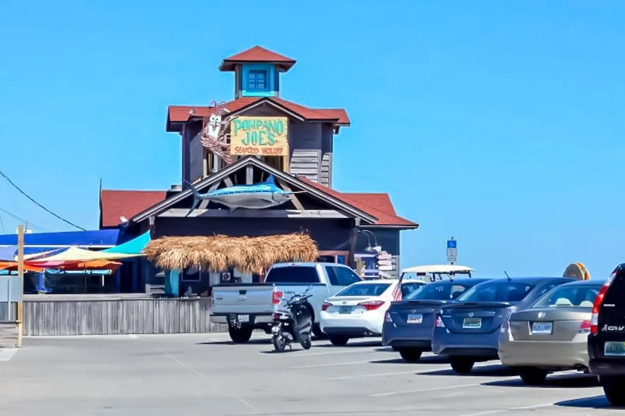 Driftwood Dreaming * Destin