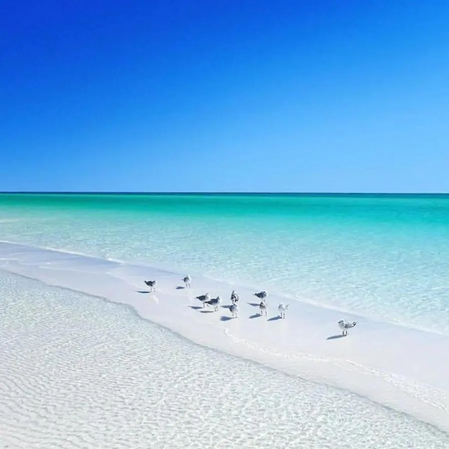 Ciboney 1011 Vakantiehuis Destin
