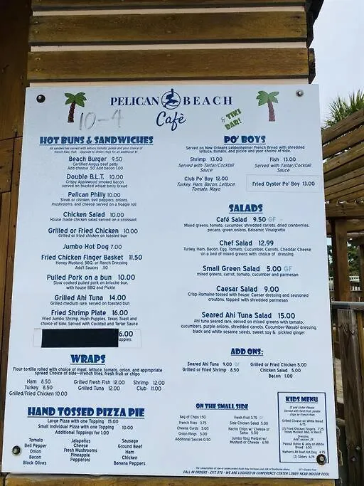 Pelican 209 Day Ever *