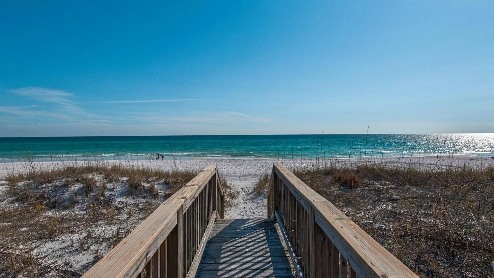 Jewel In The By Newman-dailey * Destin
