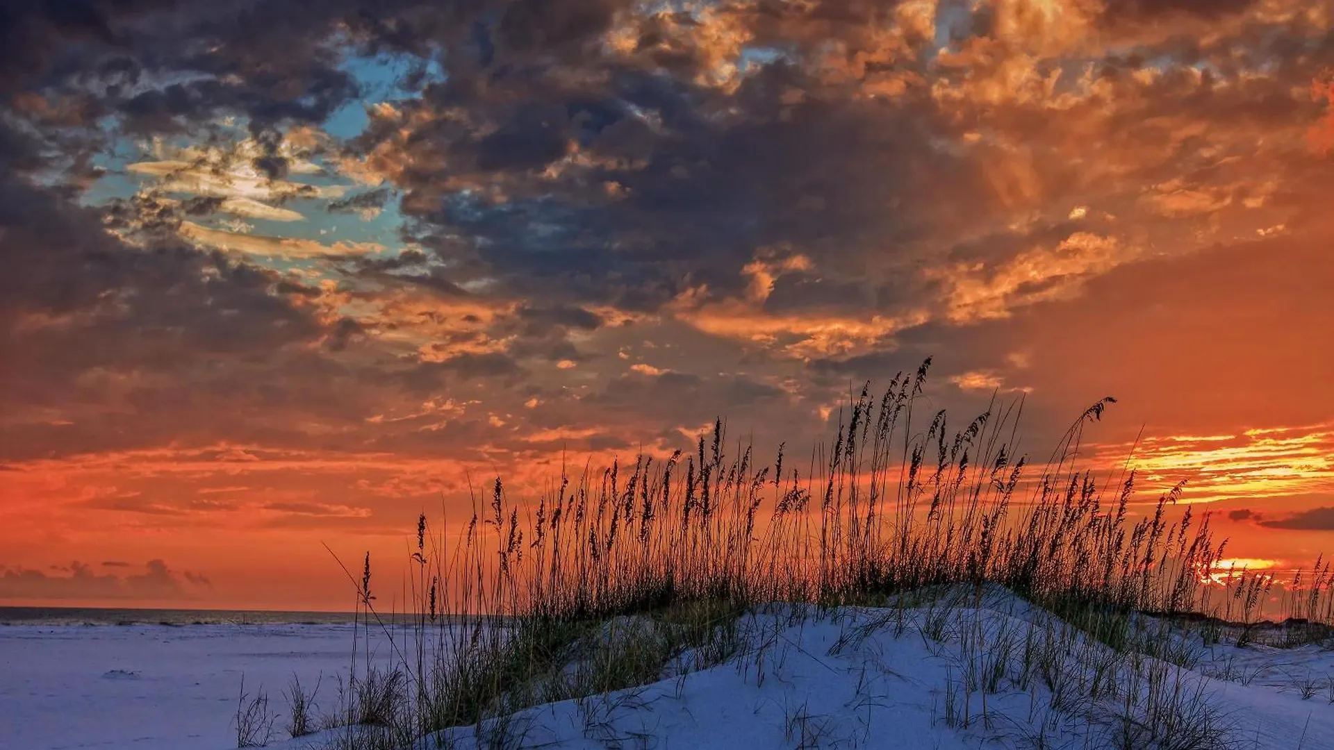 Vakantiehuis Beachwalk 5087 Destin