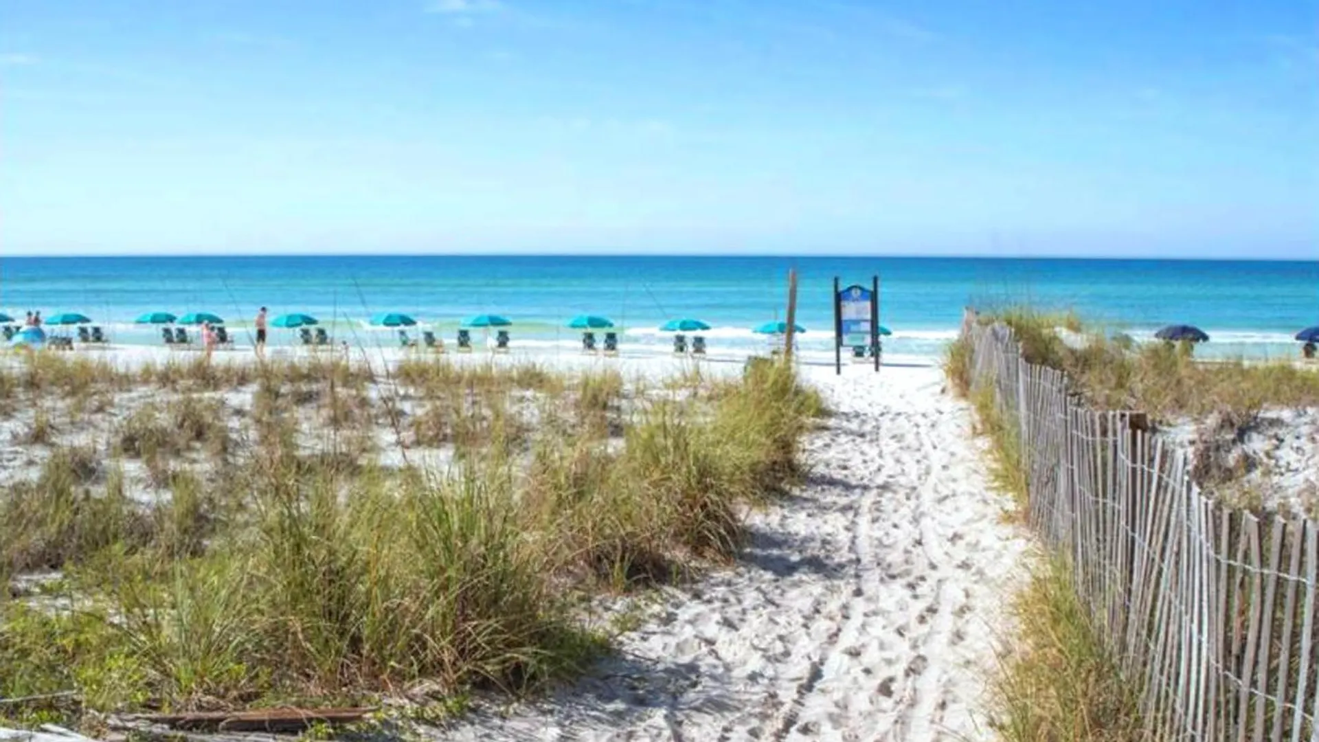 Shell Yeah! Destin