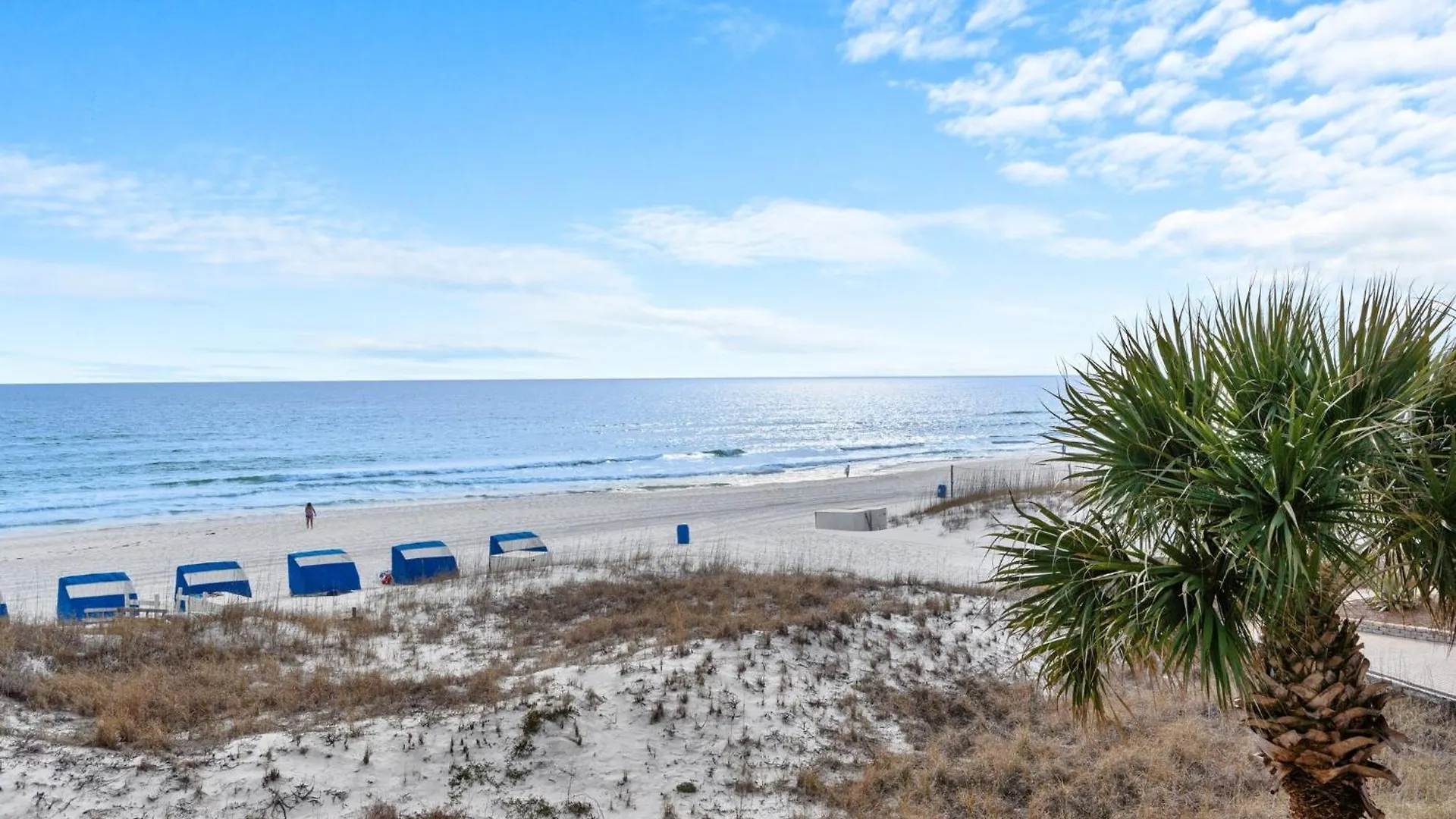 Silver Dunes 1302c By Newman-dailey