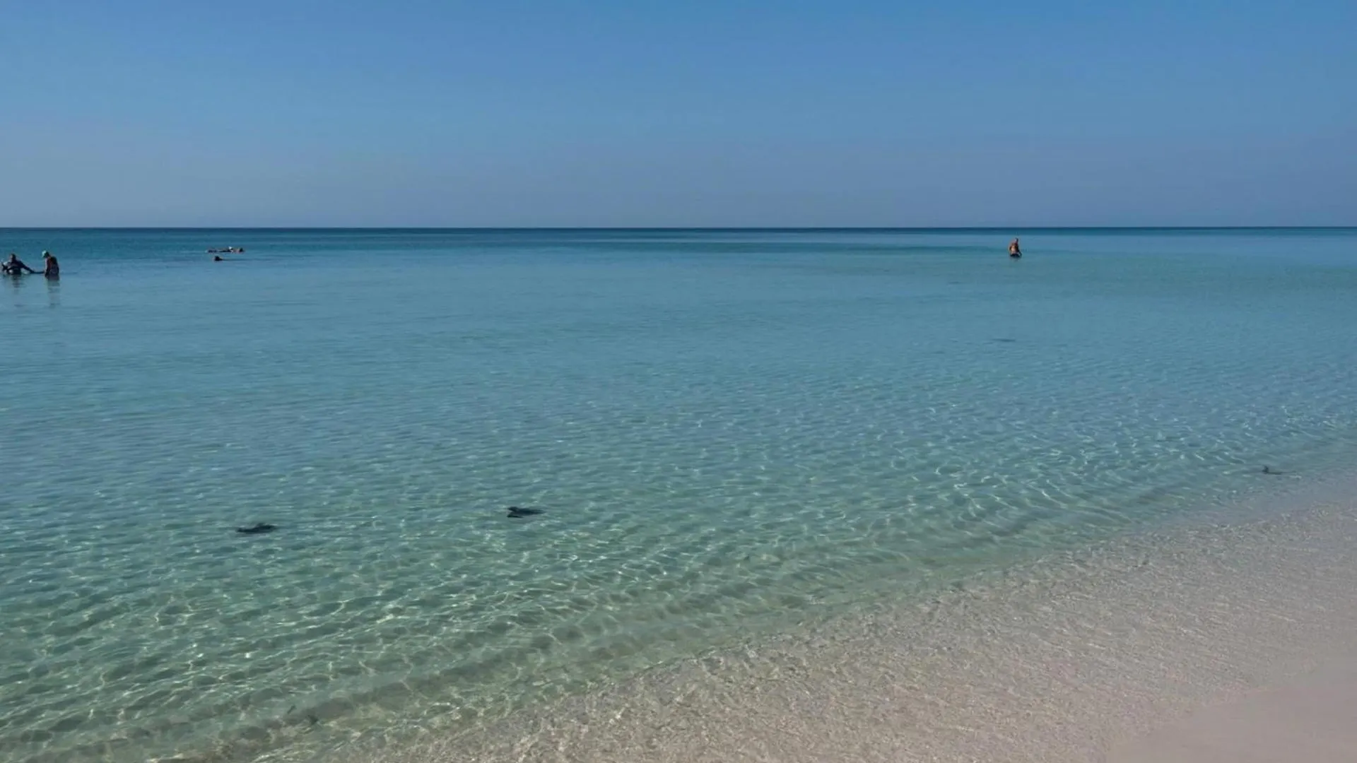 Holiday home Majestic Sun 1006b Destin