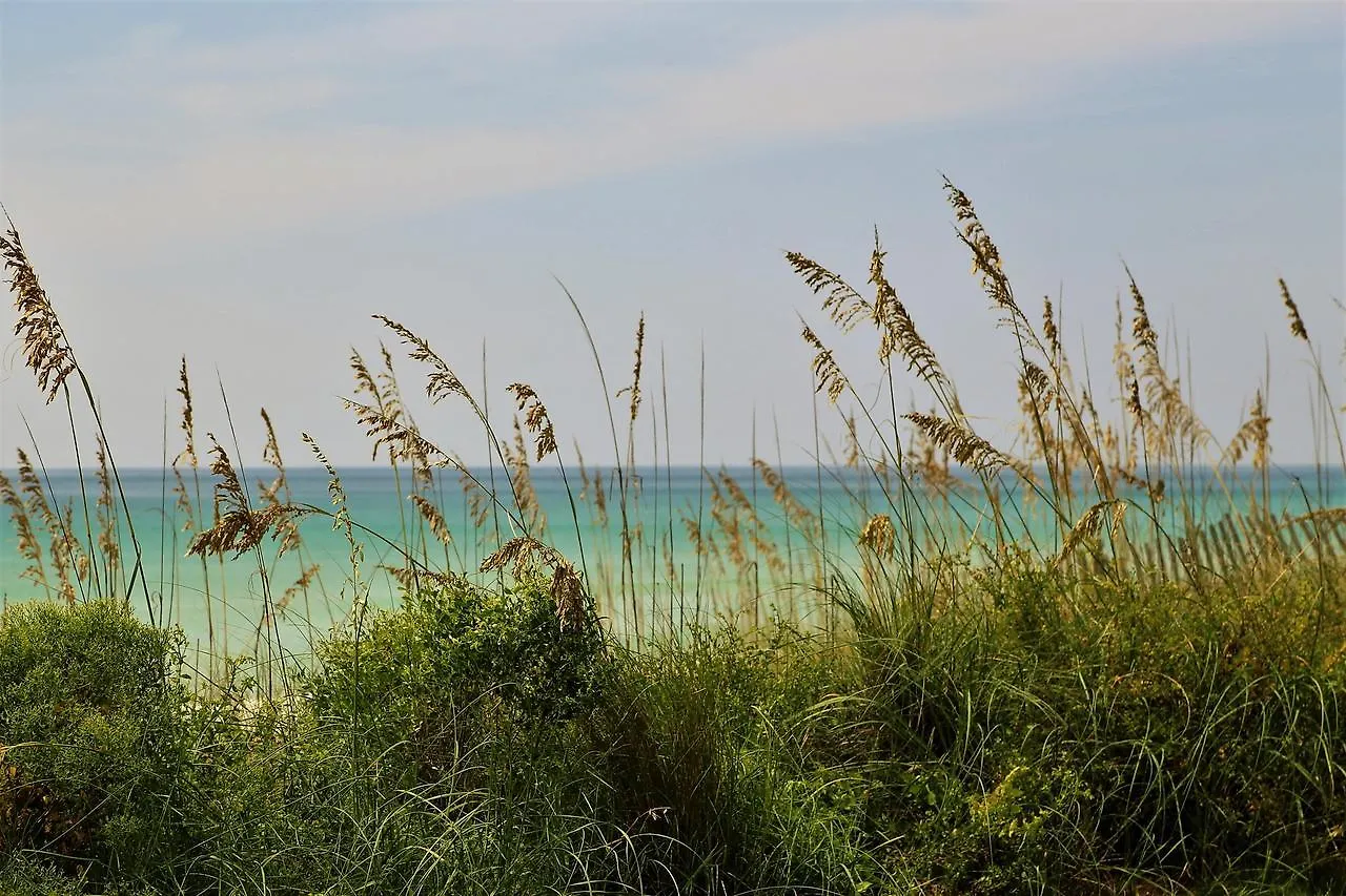 Henderson Beach Resort 5* Destin